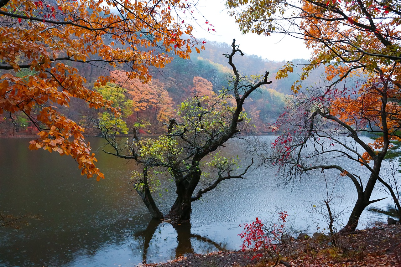 경상북도 고령군 포장이사 견적 비용