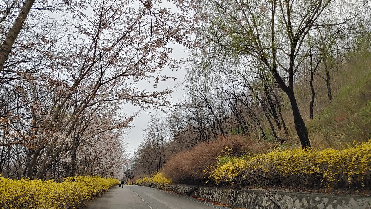 서울시 마포구 포장이사 견적 비용