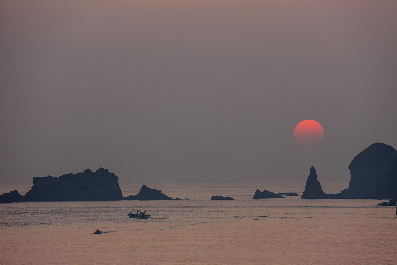 제주도에서 일산 이사