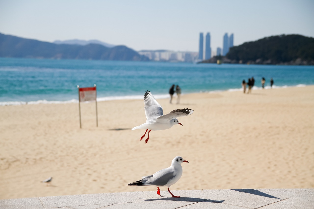 부산 사상구 포장이사