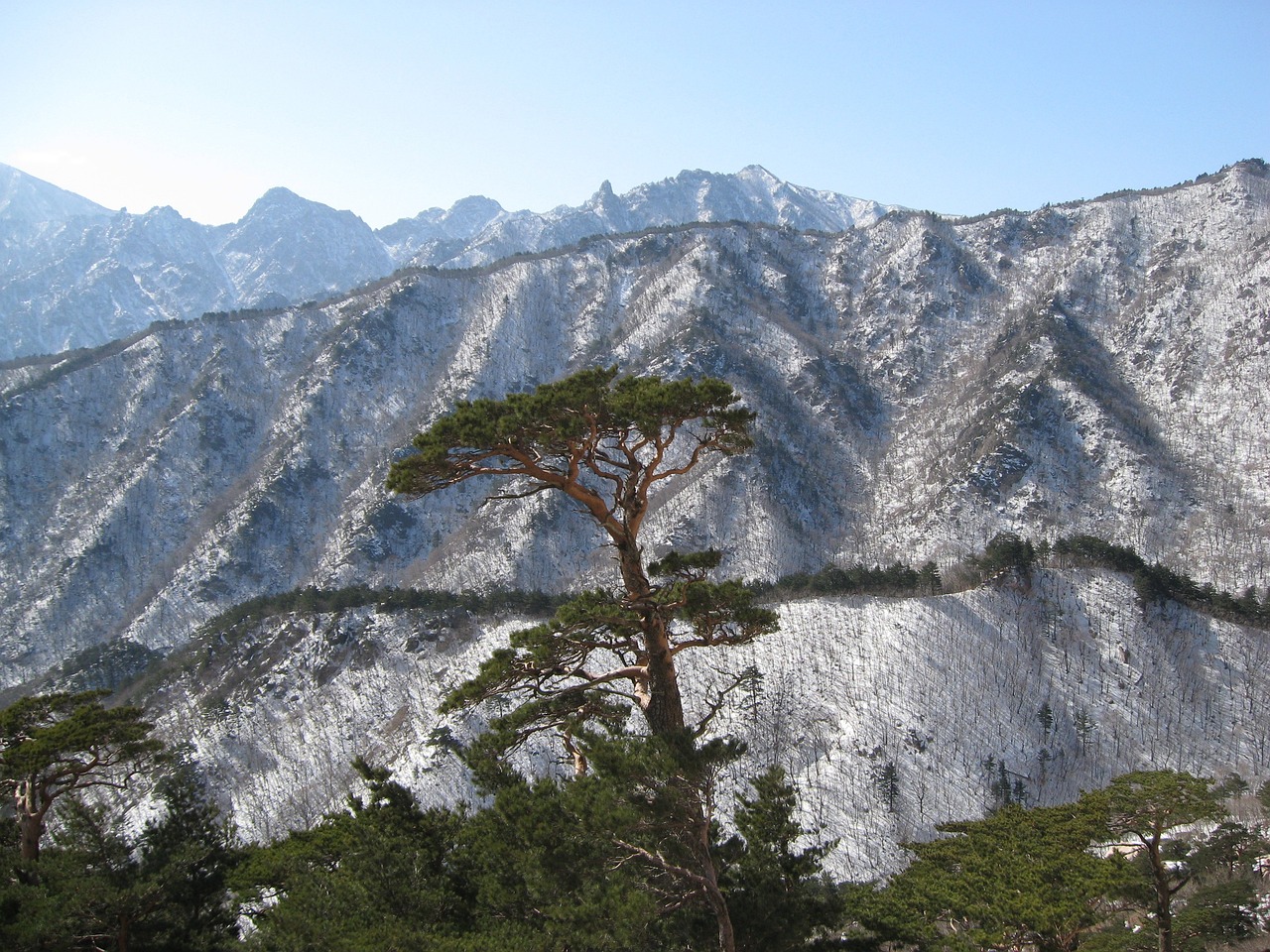울산용달차