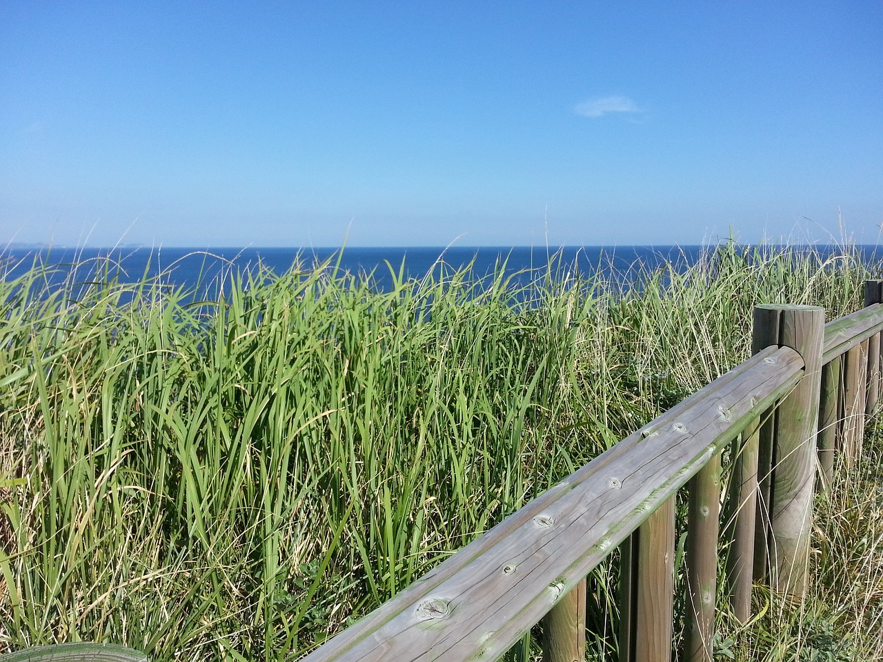 제주 수산물시장