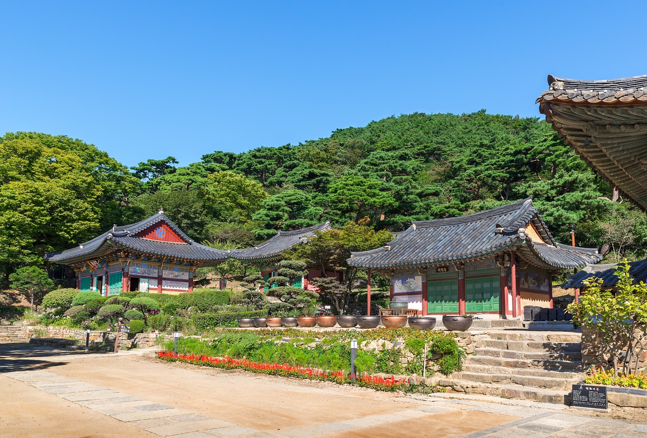 강화도 갯벌체험