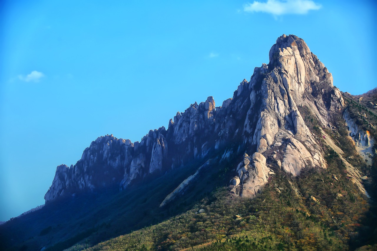 울산용달차