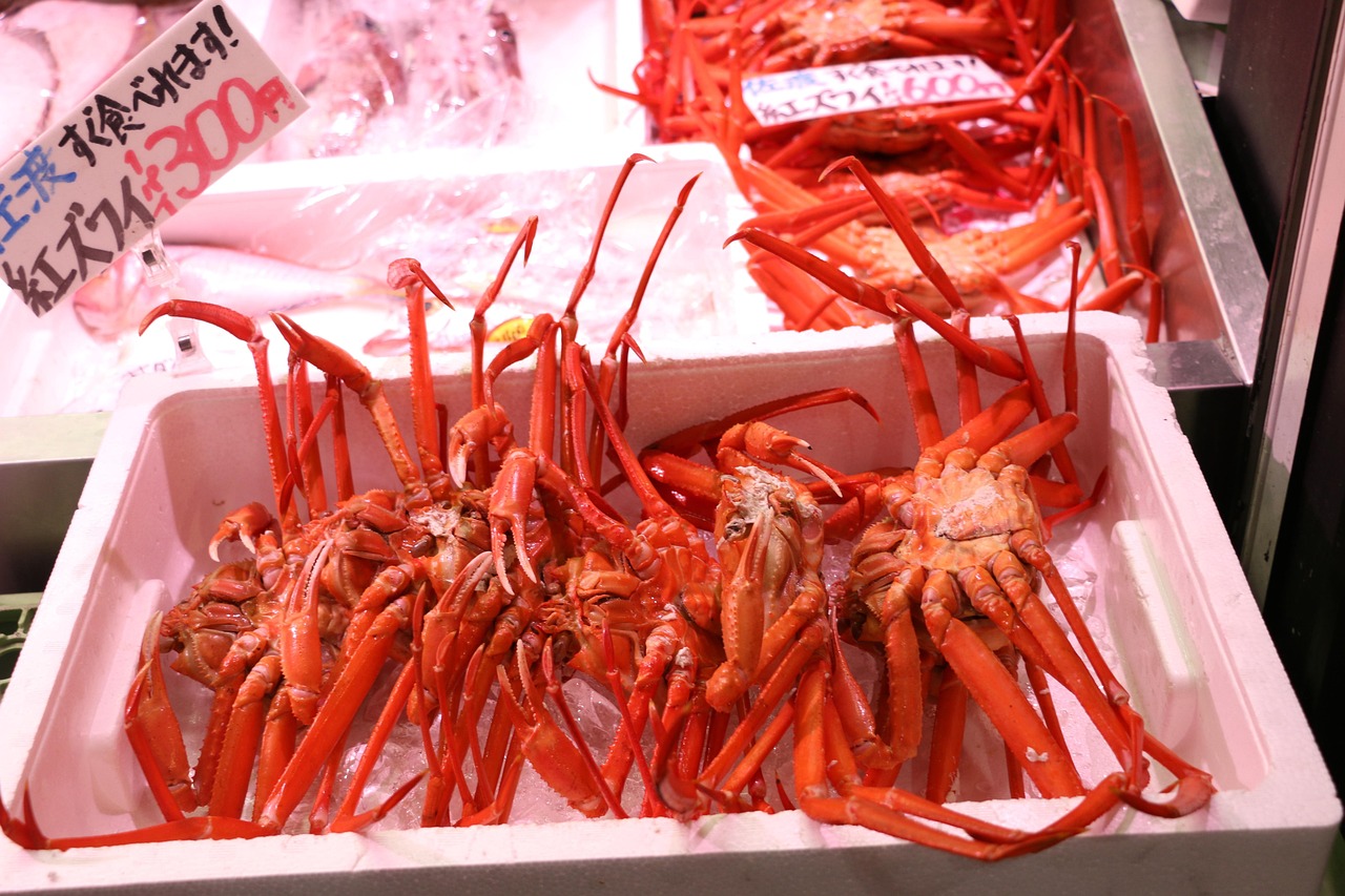 제주 수산물시장