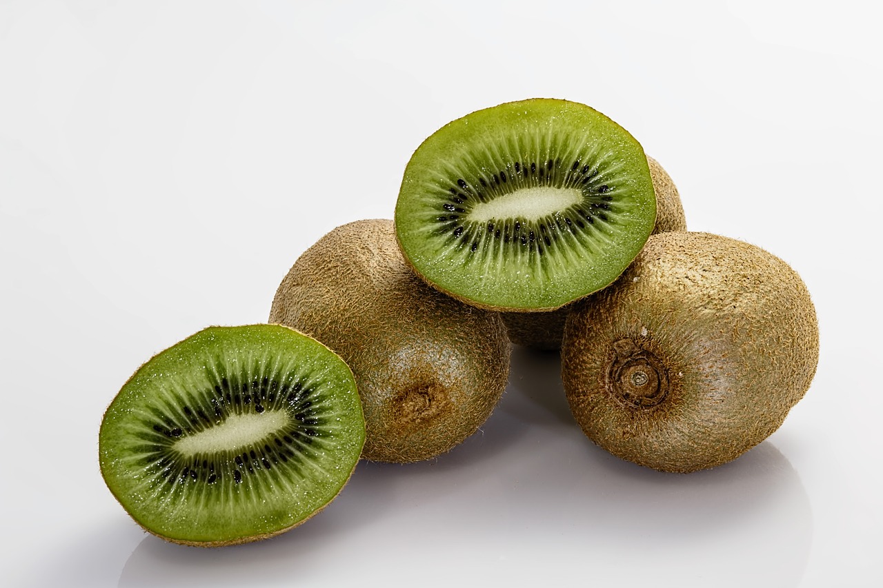 한의원다이어트 침