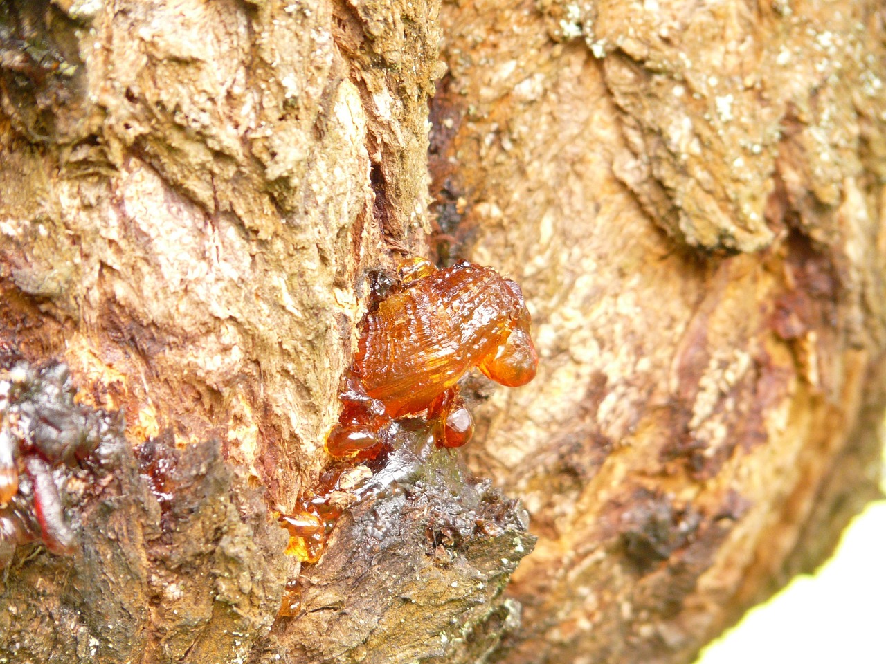수지이사