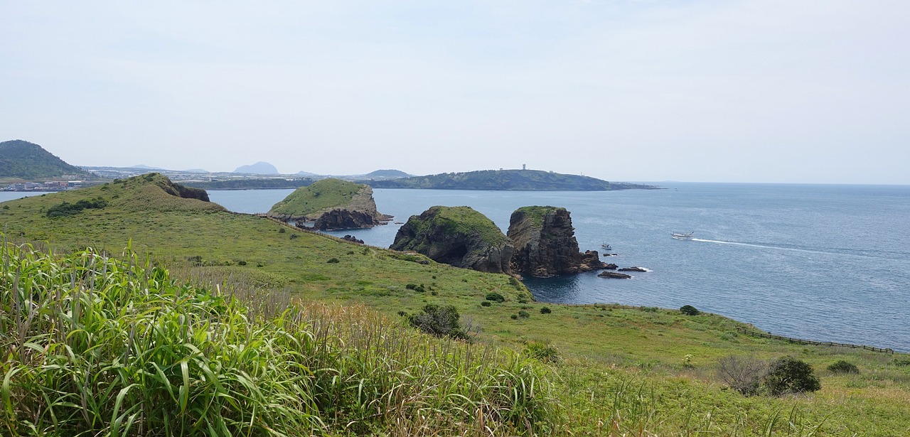 제주도 가을여행